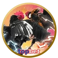 topbet